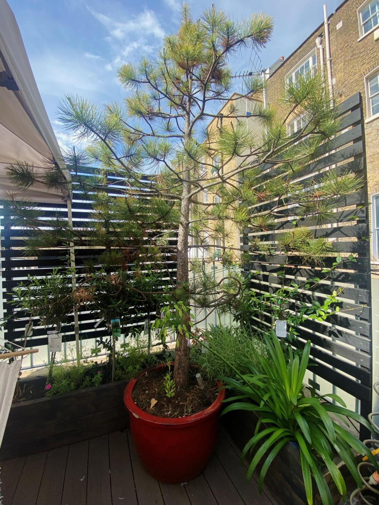 Вилла Luxury Belgrave Square Private Mews Townhouse Лондон Экстерьер фото